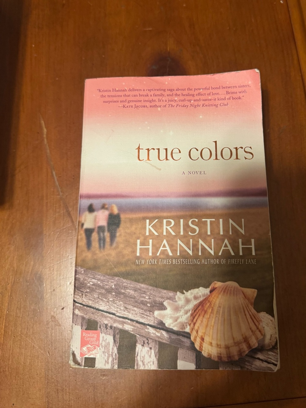 True Colors by Kristin Hannah VGUC😊😊